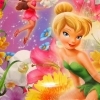 Tinker Bell Fairies Party